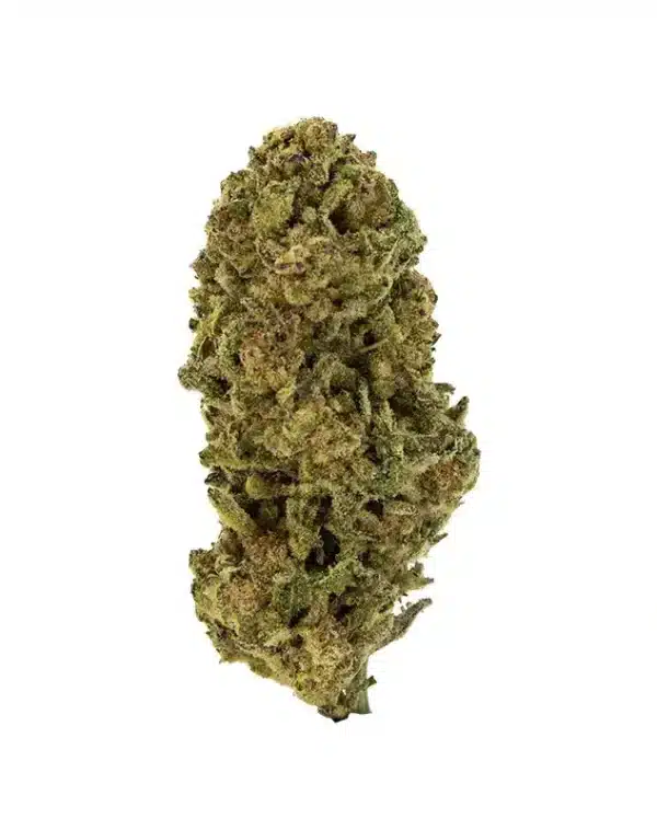 THCA Flower for Daytime vs. Nighttime Use: Which Delta 9 THC Is for You?