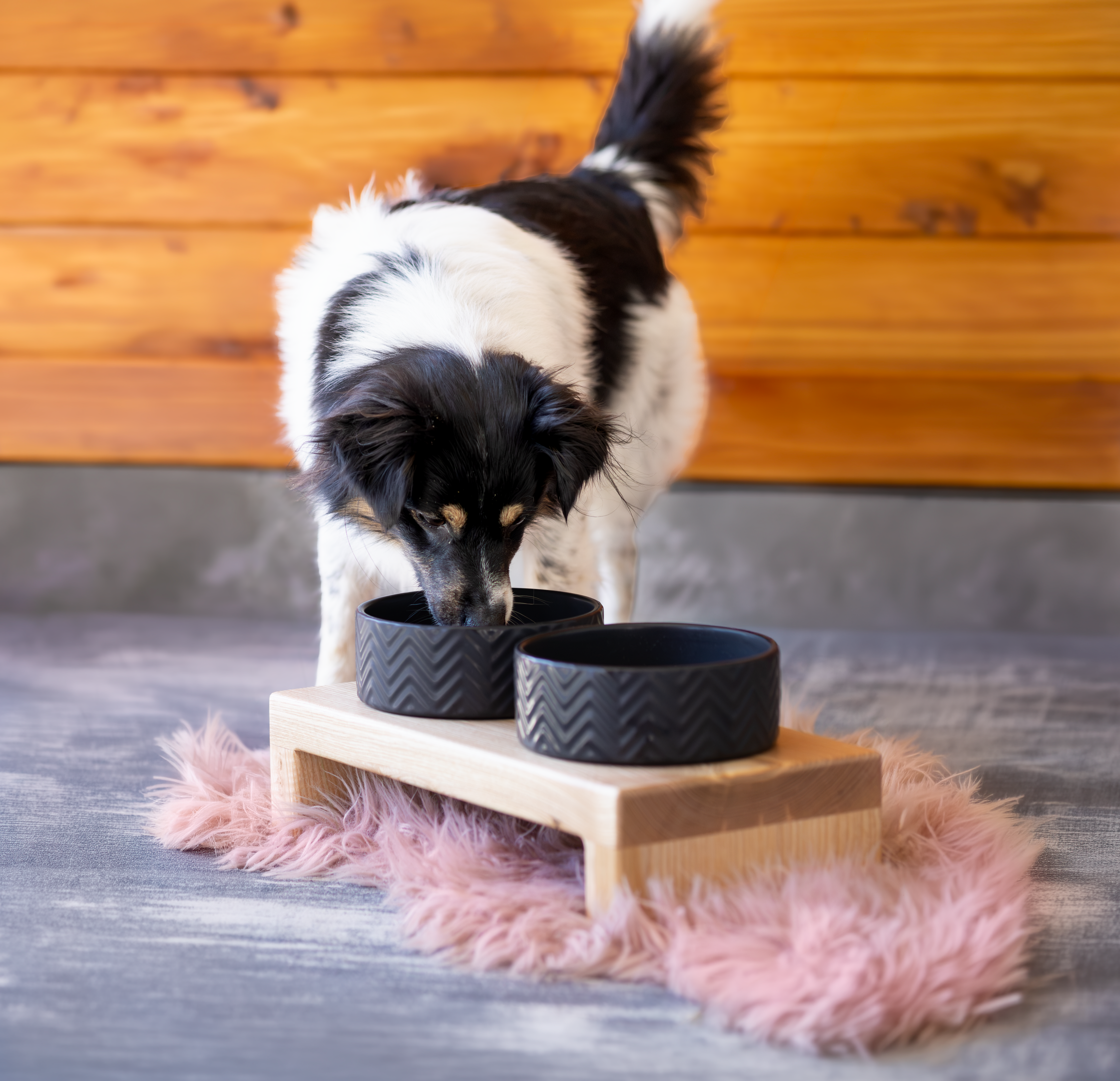 Die erhöhte Futterstation aus hellem Holz bietet zwei schwarze Keramiknäpfe und befindet sich in einer modernen, hellen Küche. Dieses stilvolle Design eignet sich perfekt für die Fütterung von Hunden und verleiht dem Zuhause eine elegante Note.