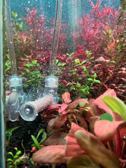 CO2 injected into water can cause minor temperature fluctuations