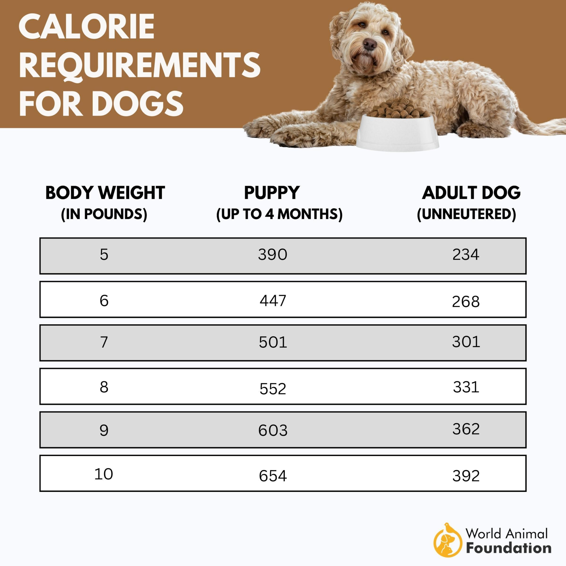 How Much Food To Feed My Dog & Feeding Chart By Weight