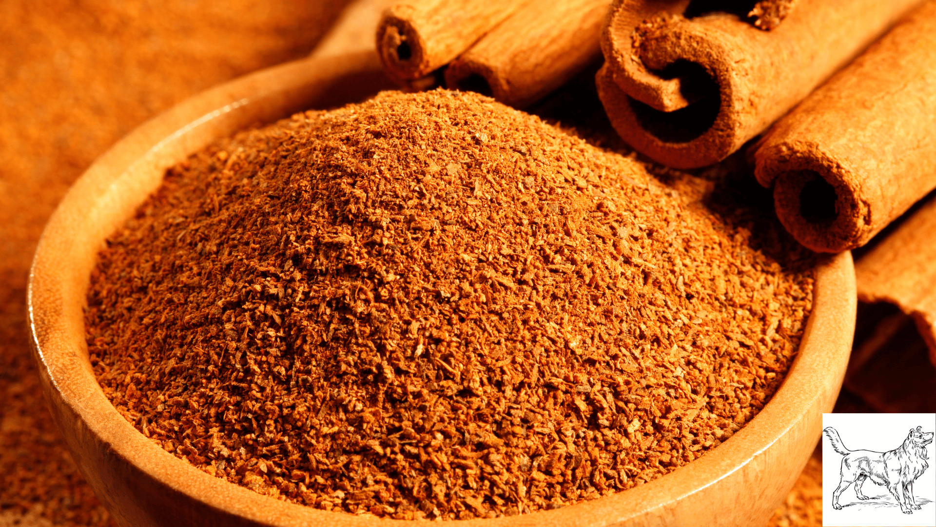 cinnamon is anti-inflammatory 