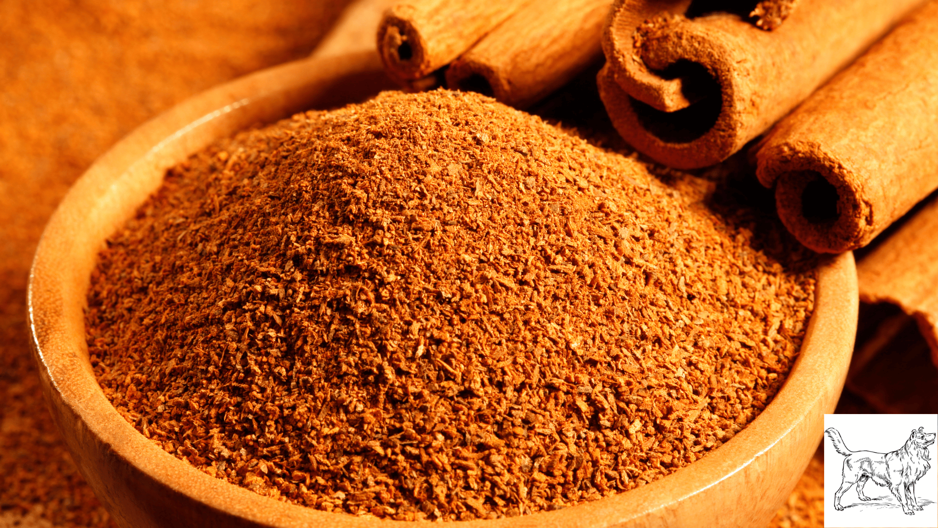 cinnamon is anti-inflammatory