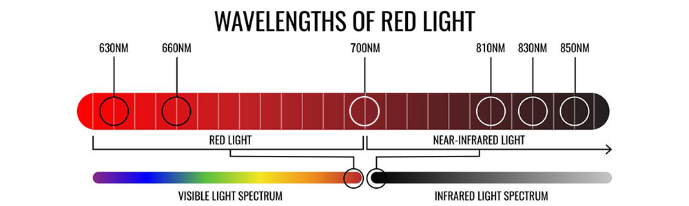 the red wavelengths in the visible light spectrum