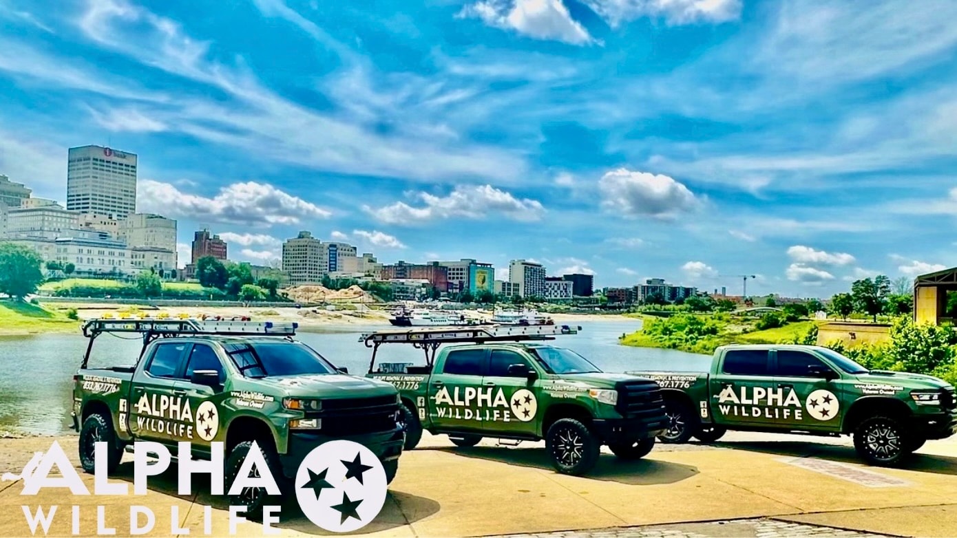 Alpha Wildlife trucks near river