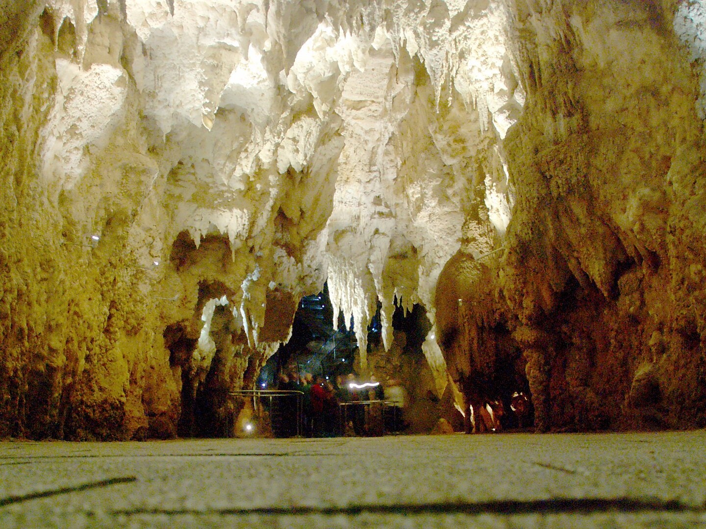 A Mesmerizing Place - WAITOMO GLOWWORM CAVES