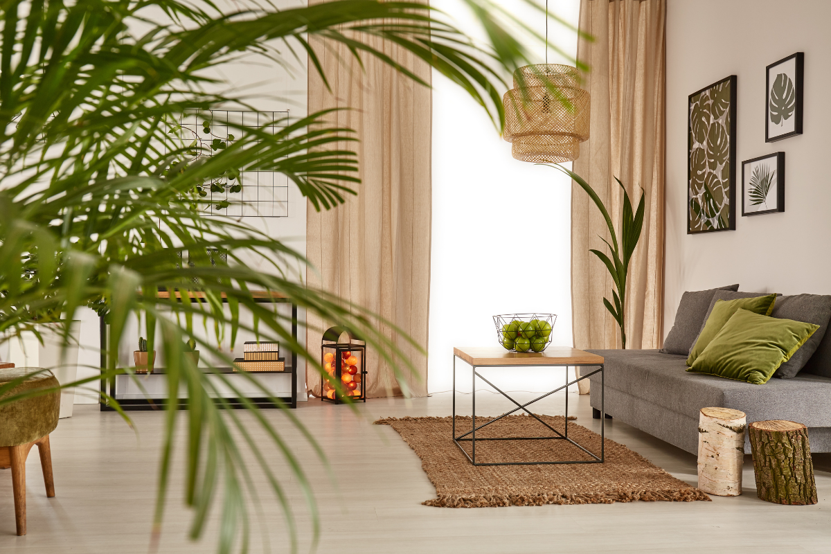 Personalized guest room with decorative touches and plants.