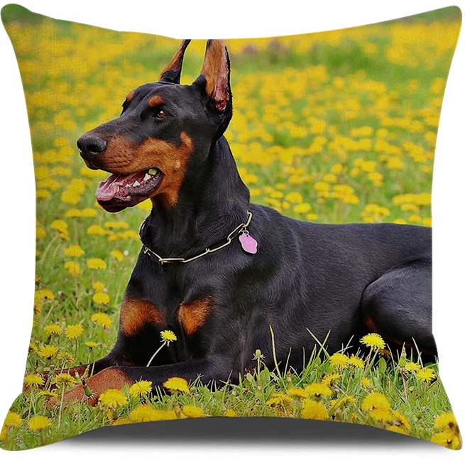 custom photo pillows with pets