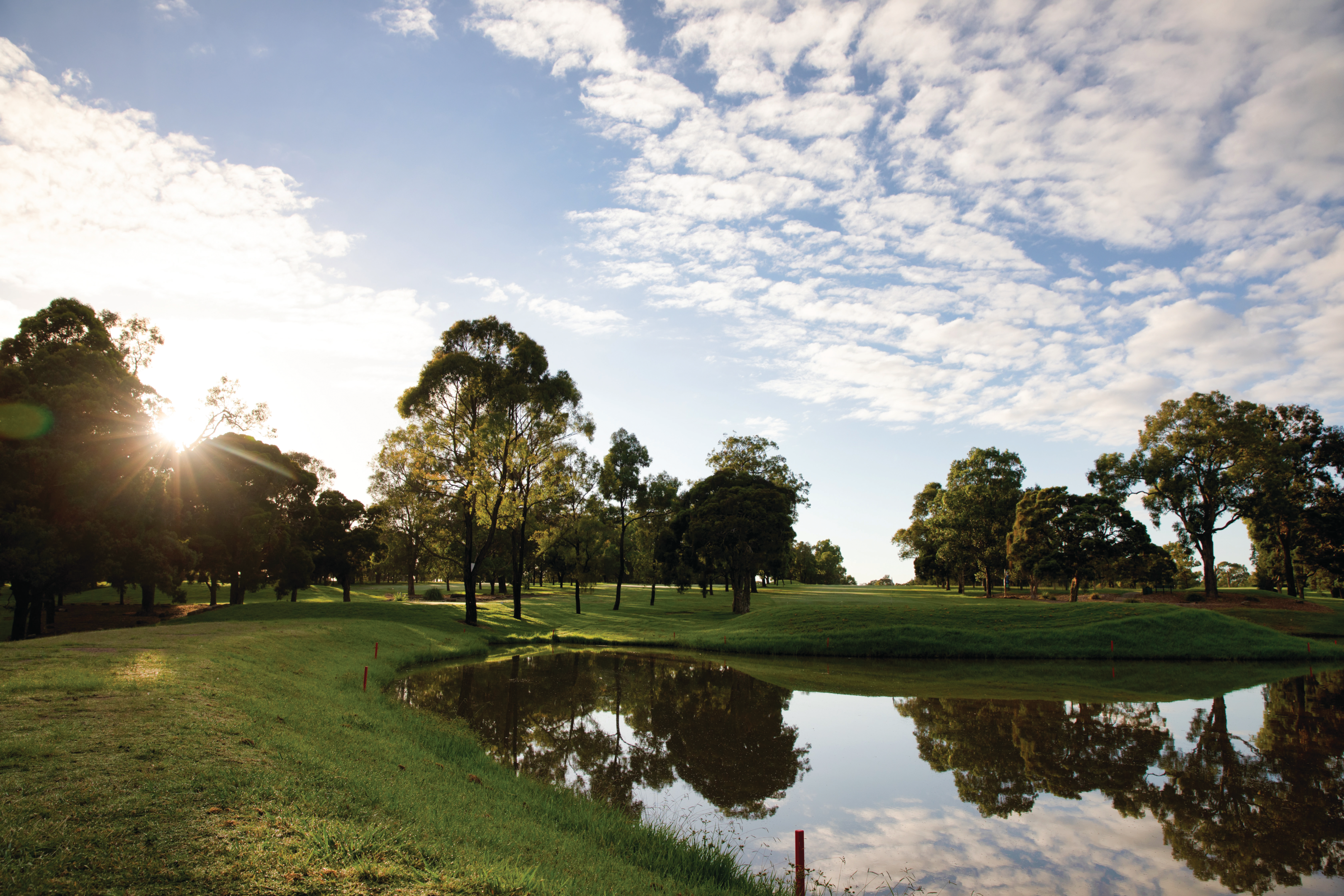 Parklands and Golf Courses are at the centre of Fairfield, where you can purchase affordable real estate in Western Sydney