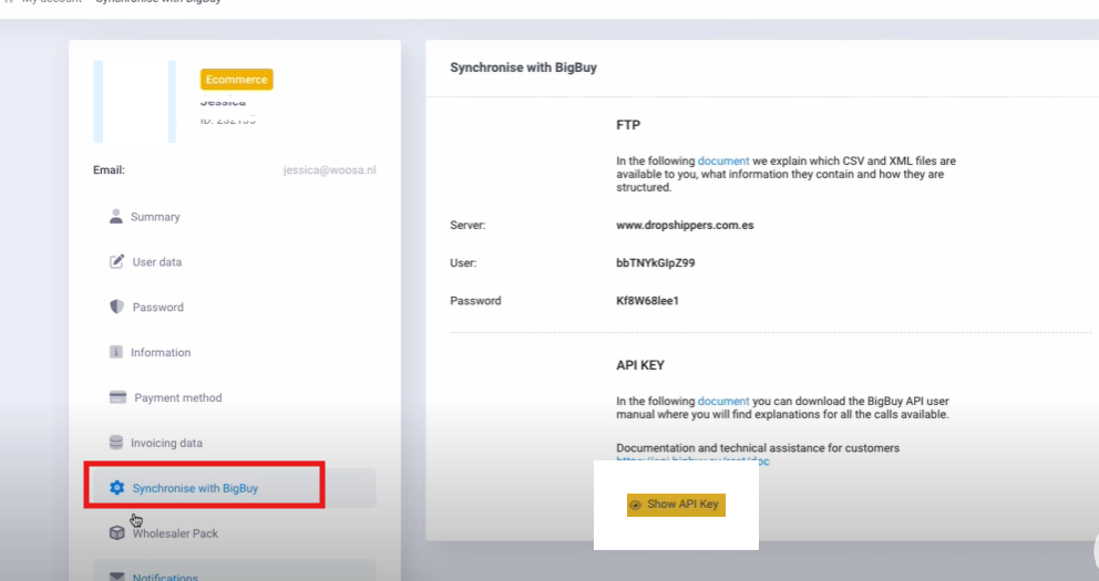 api key bigbuy dropshipping