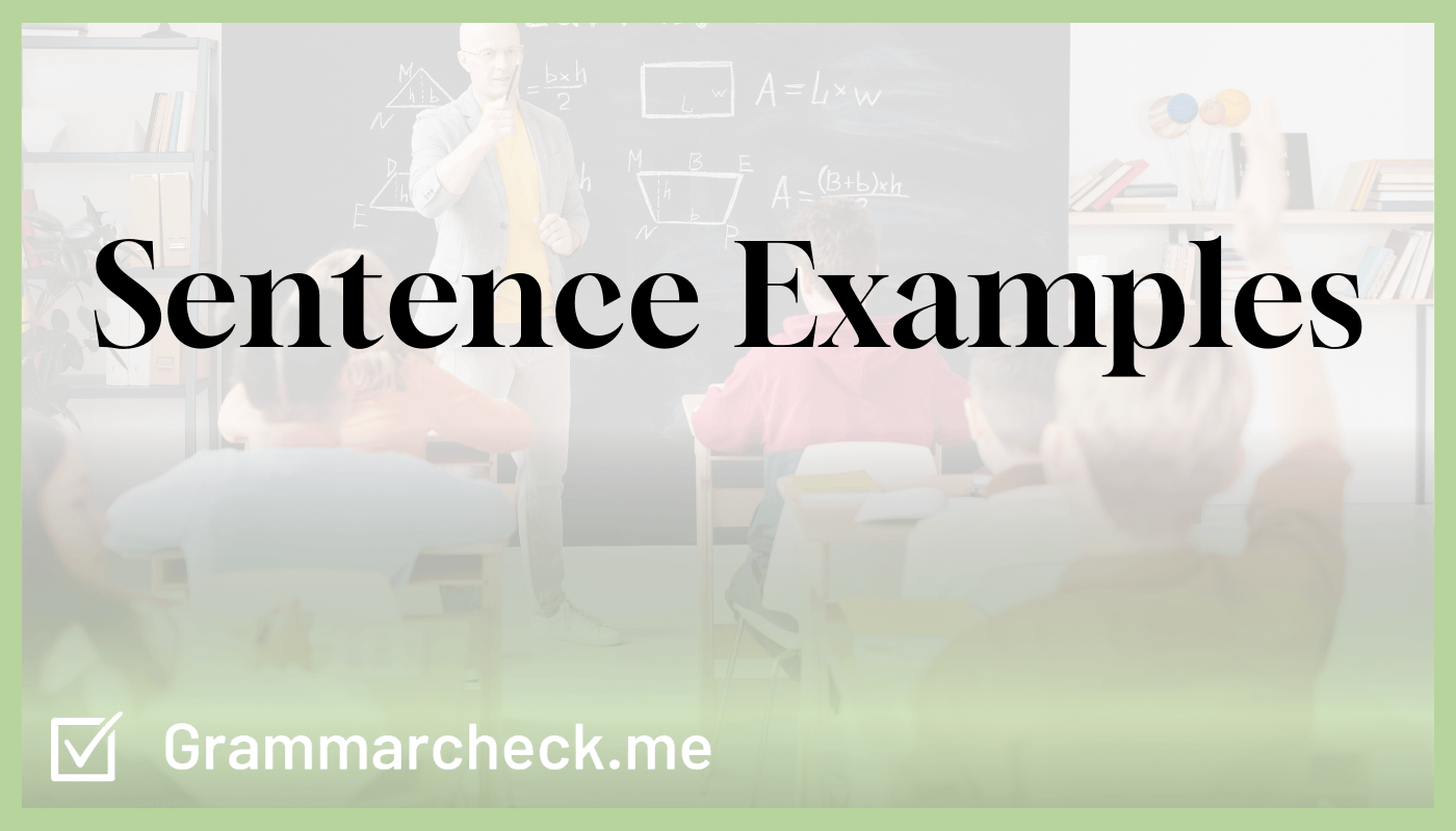 which of the following sentence examples