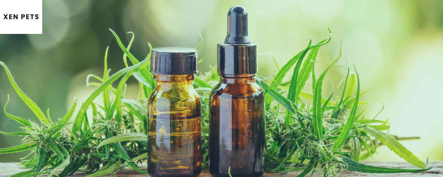 Hemp oil designed to relieve pet anxiety