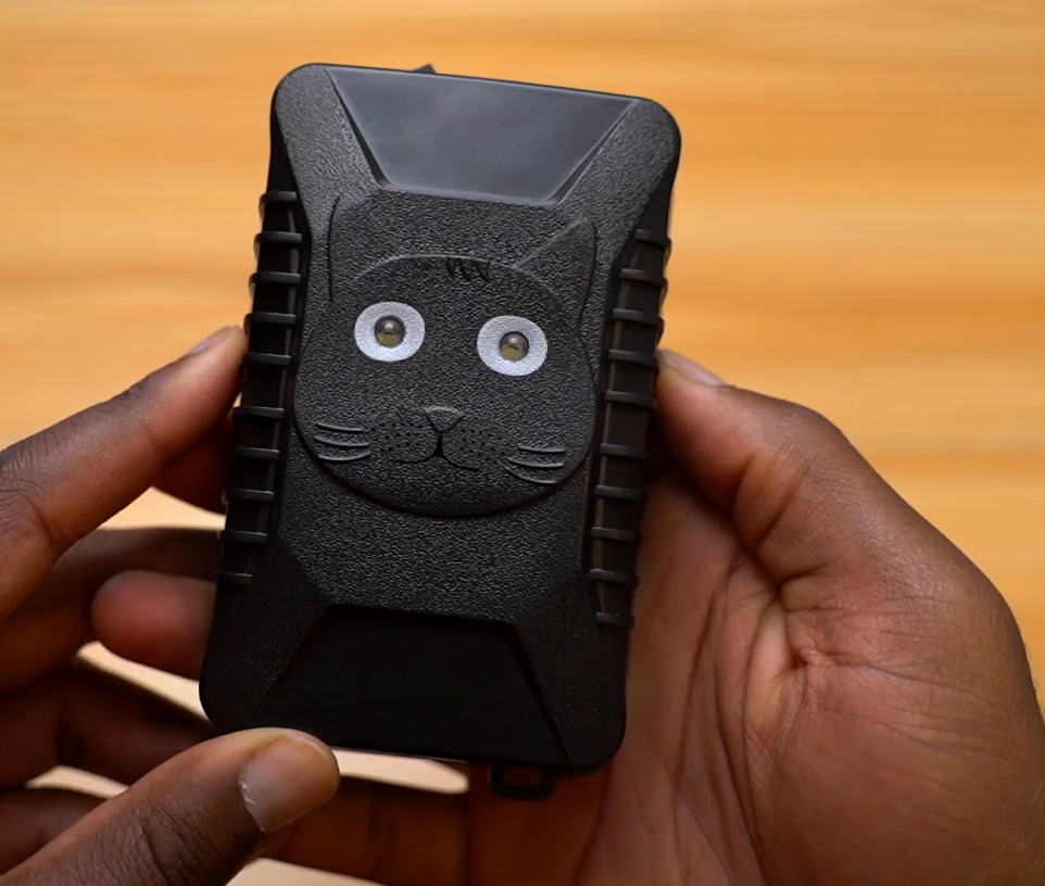 Borhood rodent deterrent