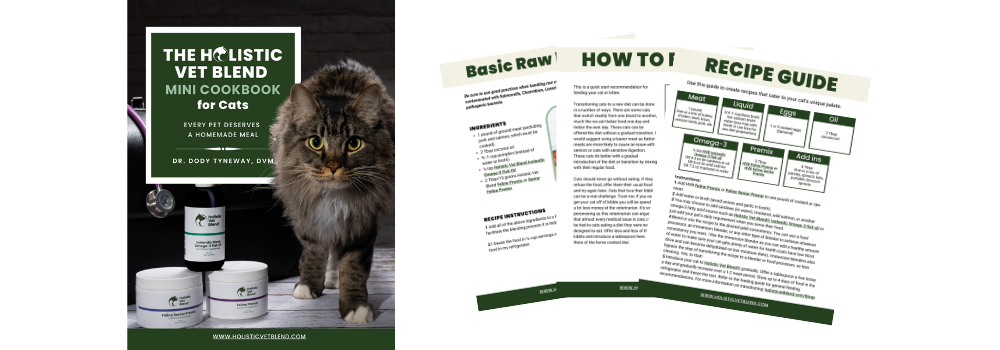 What Food is Best for Cats with Constipation Holistic Vet Blend