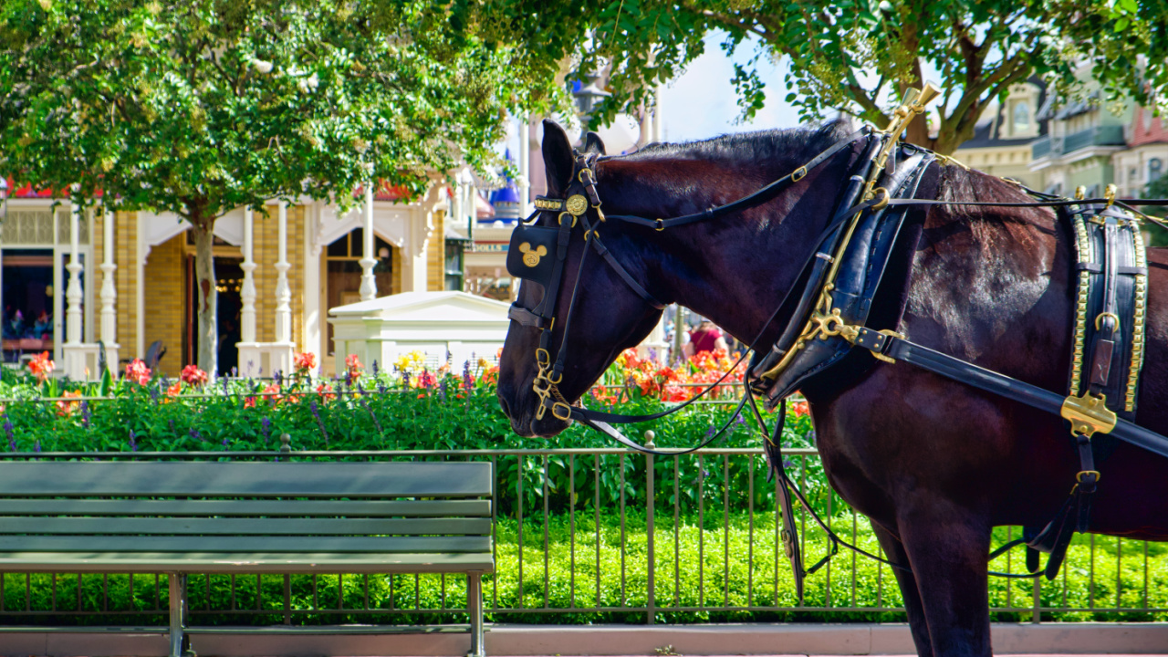 what-is-the-cheapest-month-to-visit-orlando-what-is-the-cheapest