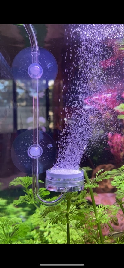 CO2 injection is an excellent way to boost plant development