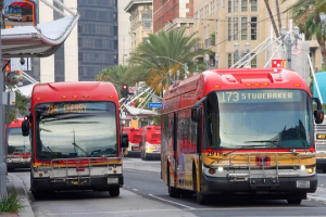 Different types of bus accidents