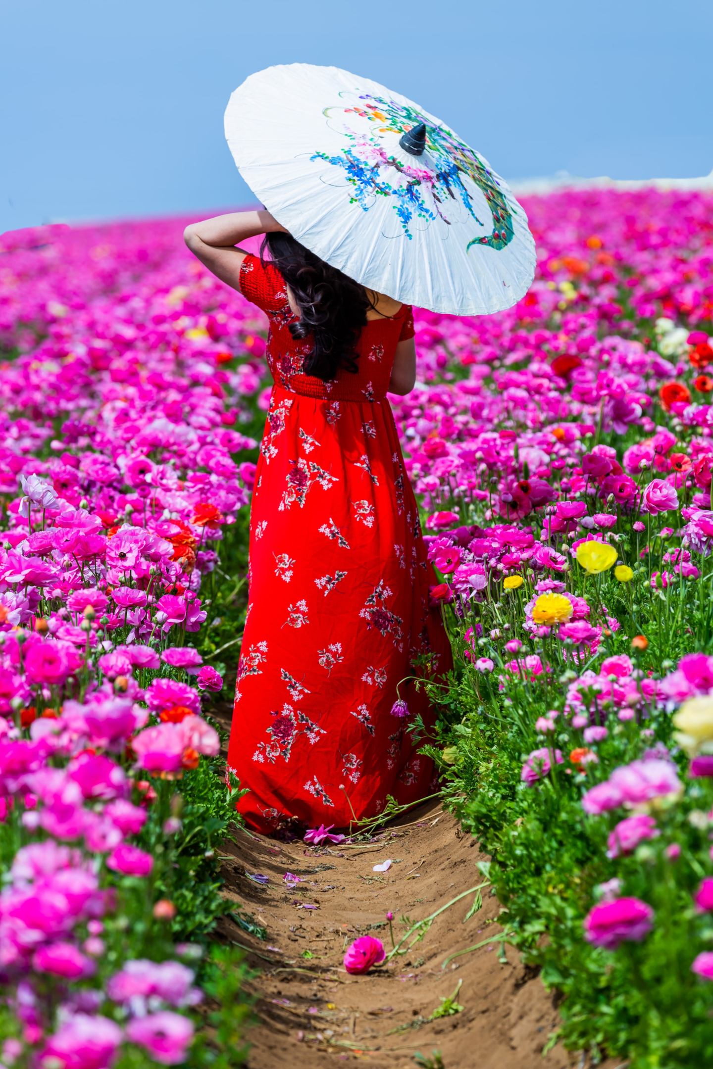 woman in oriental gown in field of flowers 