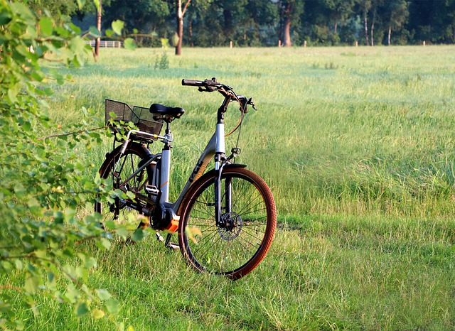 e-bike, bicycle, field