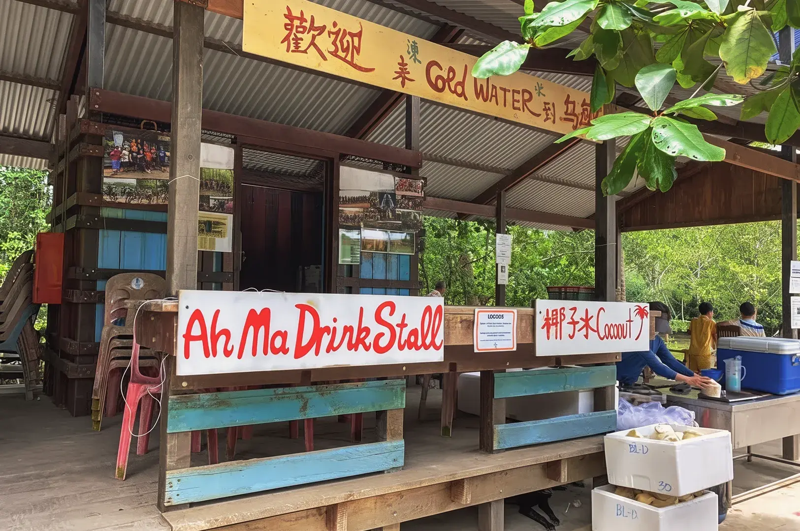 Ah Ma Drink Stall on Pulau Ubin selling fresh coconut water and cold drinks in a tropical village setting