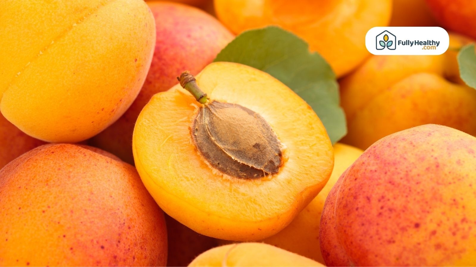 Close-up of ripe apricots with their pit exposed