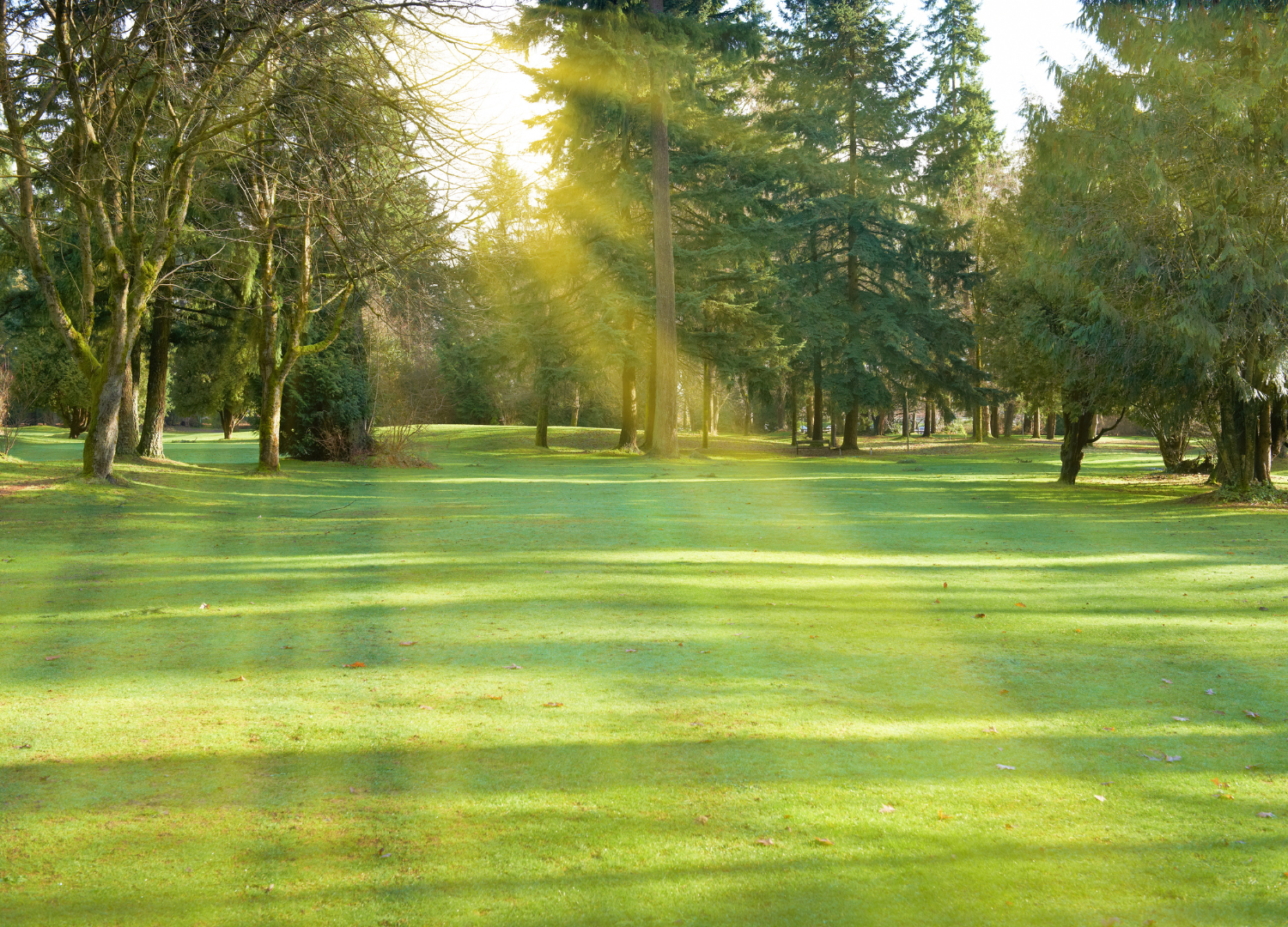 Vitamin D and testosterone levels