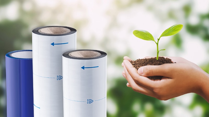 Bio-based protective films