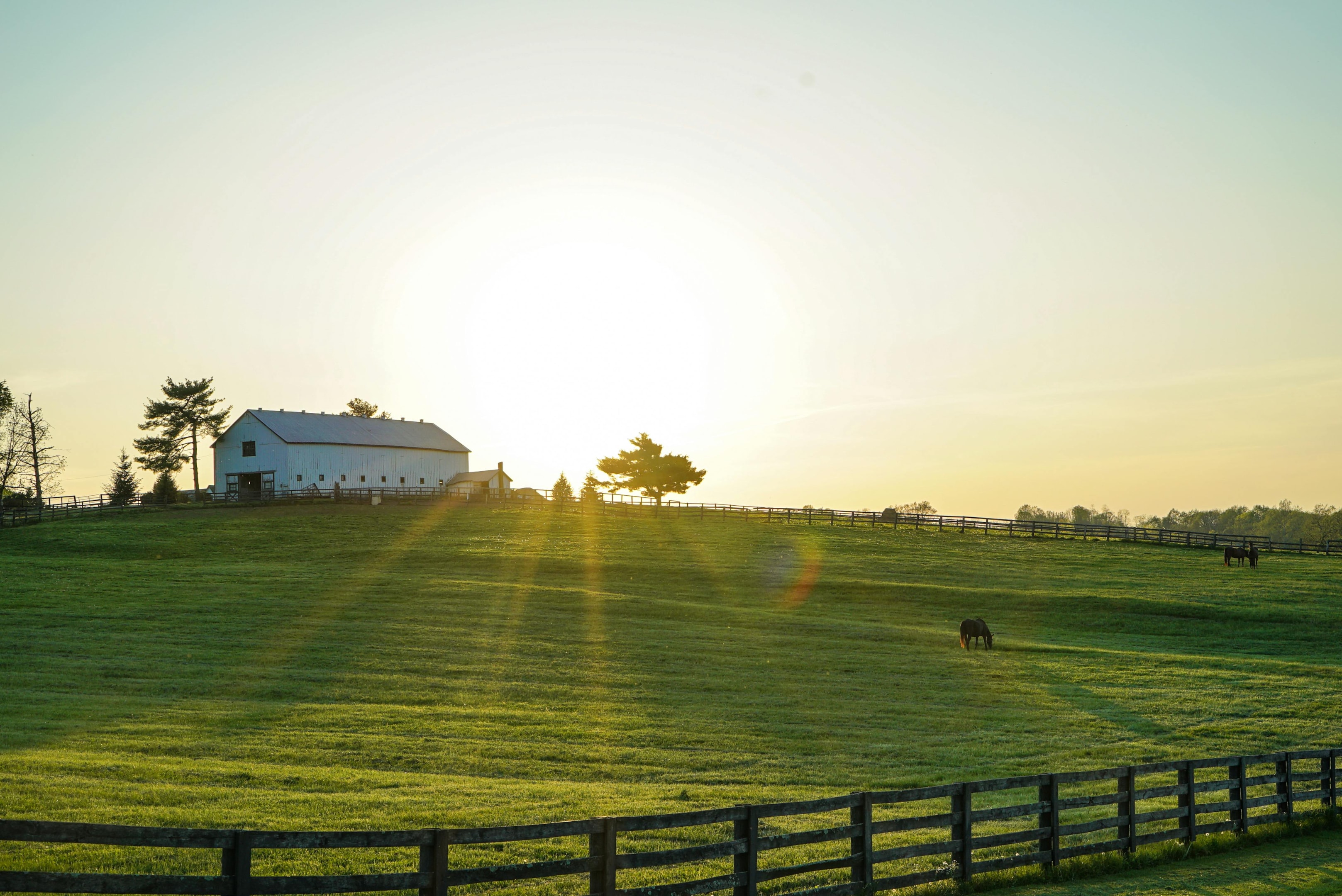 Farm in Kentucky.