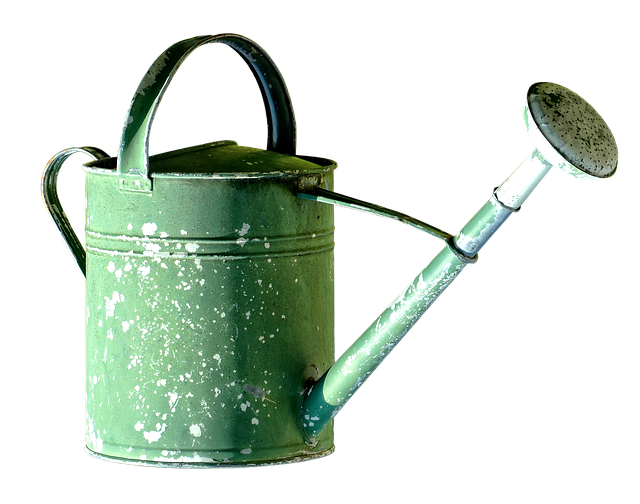 watering can, can, garden