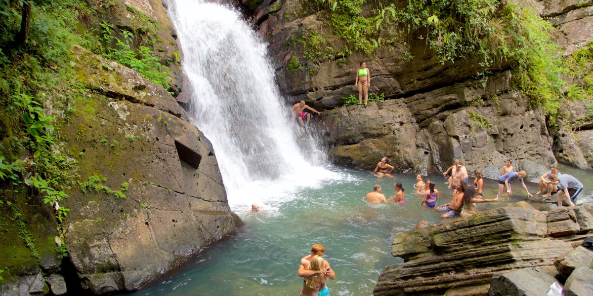 interesting animals in el yunque