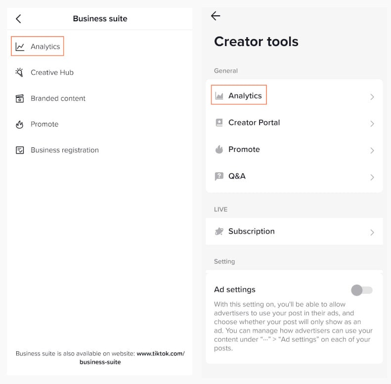 Internal TikTok analytics