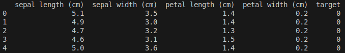 First five rows in the Iris dataset