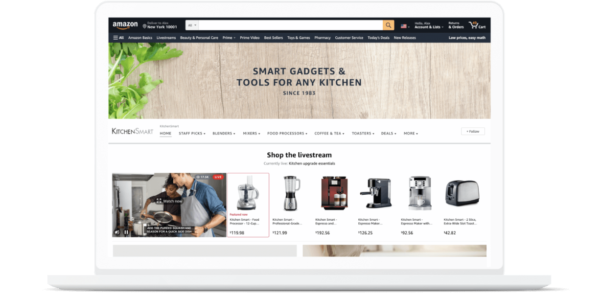 amazon store example accessible to brand owners with the brand registry program