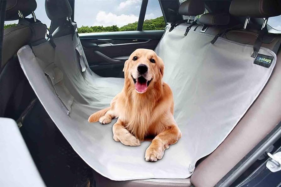 a dog cover to ensure your car stay clean