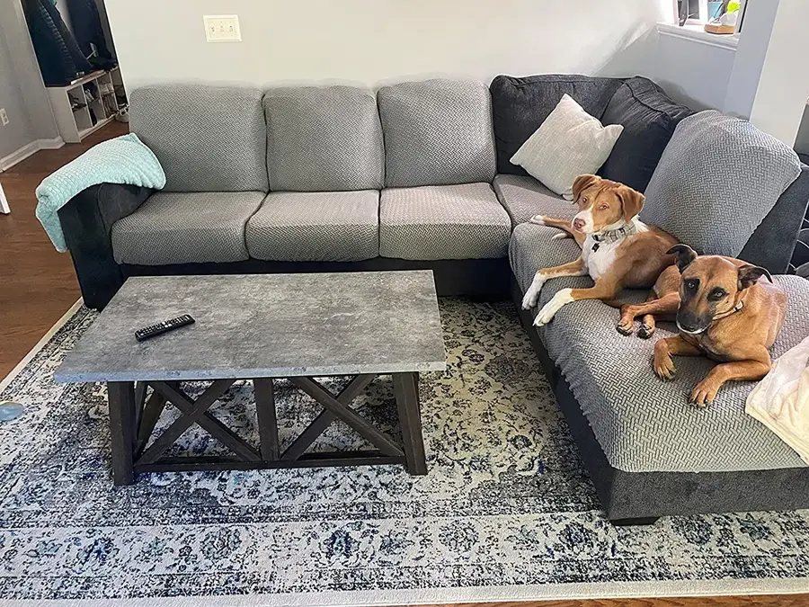 Can Furniture Covers Stand Up to a Muddy Dog