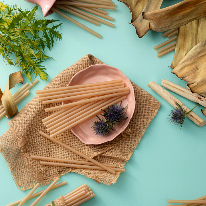 sugarcane straws