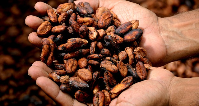 Nutritional Value of Cacao Nibs