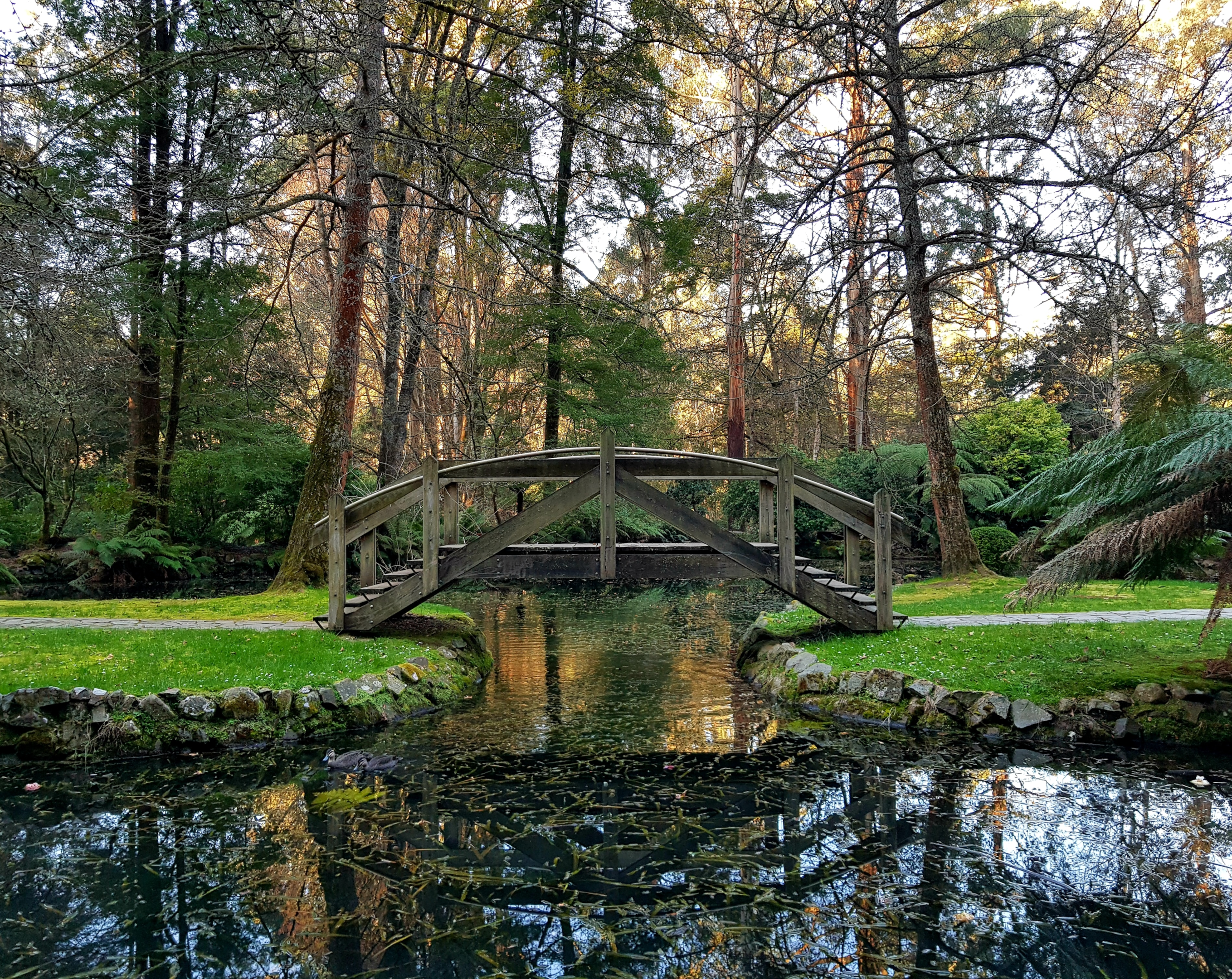 https://unsplash.com/photos/kr2vPhHY-G0