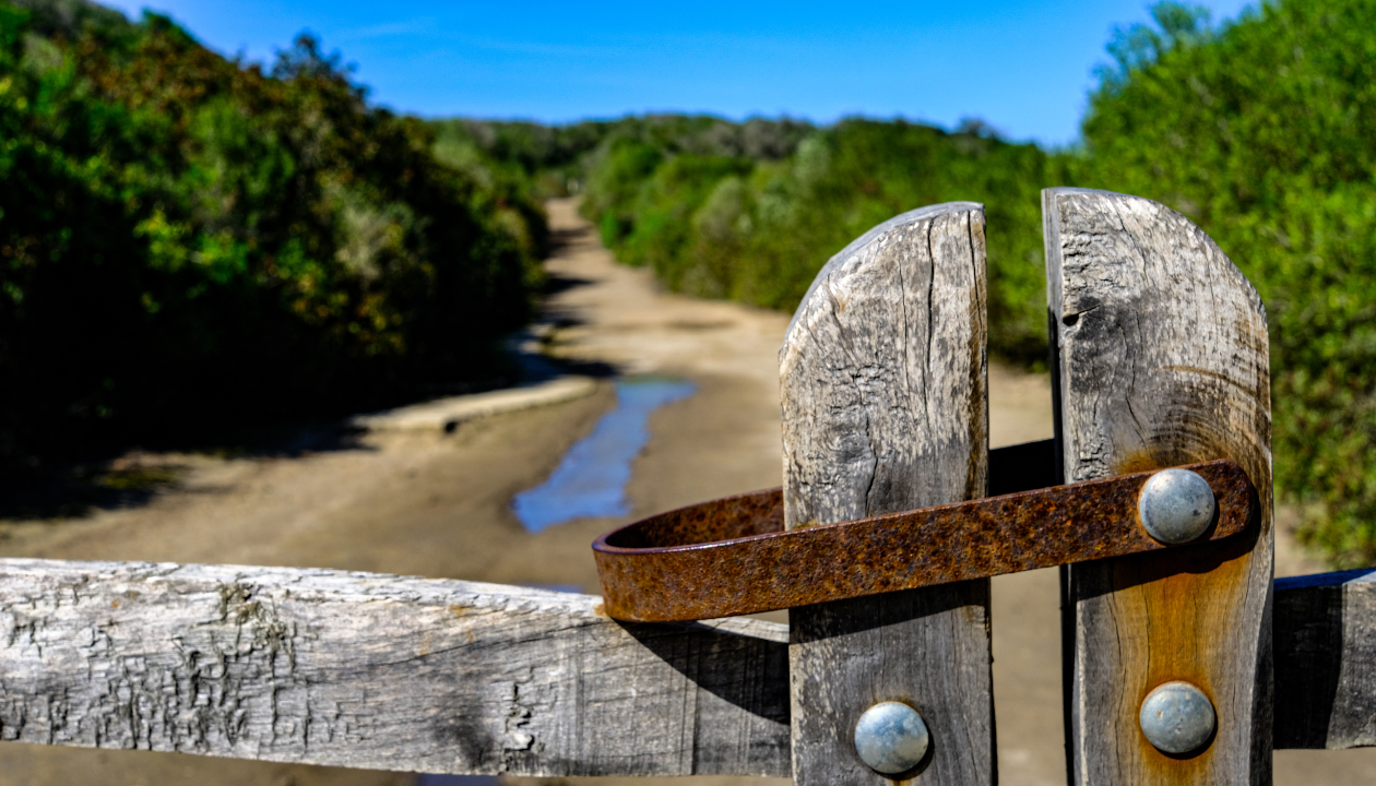 S’Albufera des Grau Natural Park in Menorca.