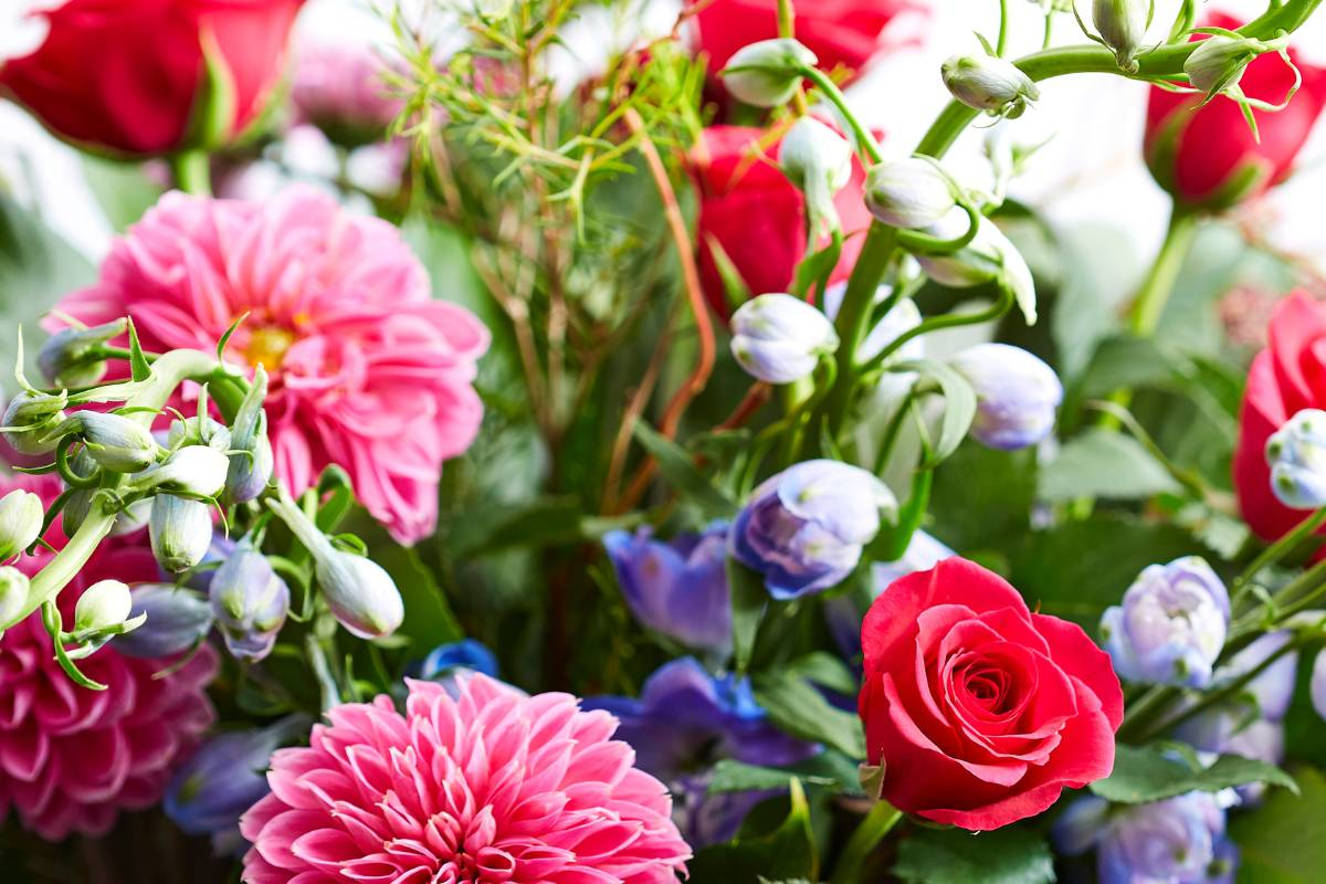 Sending quality fresh flowers to the people you love in Cape Town. Pink dahlias, roses and blue delphinium.