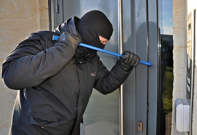 burglar, mask, kuhfuss, burglar, burglar, burglar, burglar, burglar