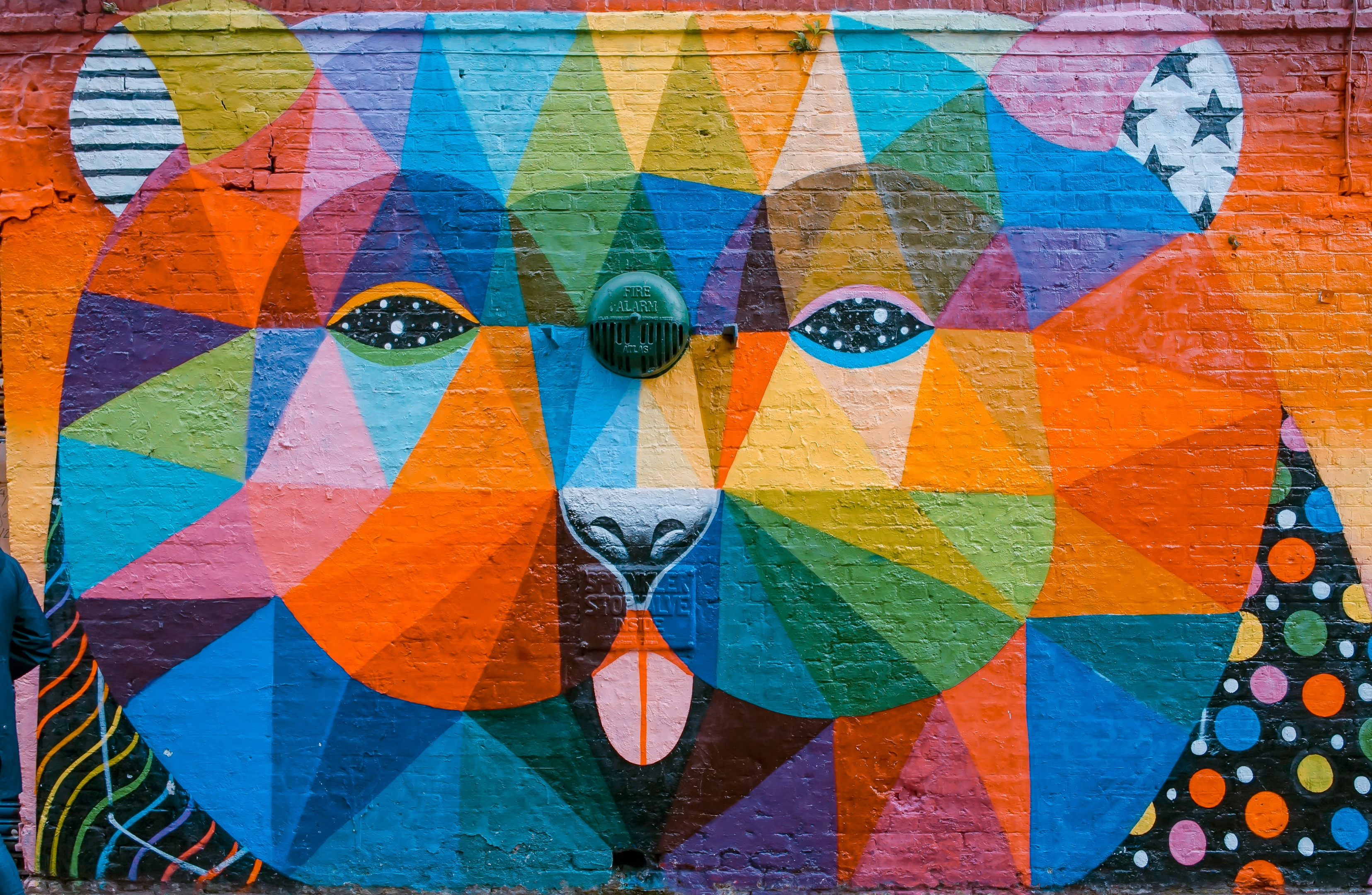 Multi color painted mural of an animal