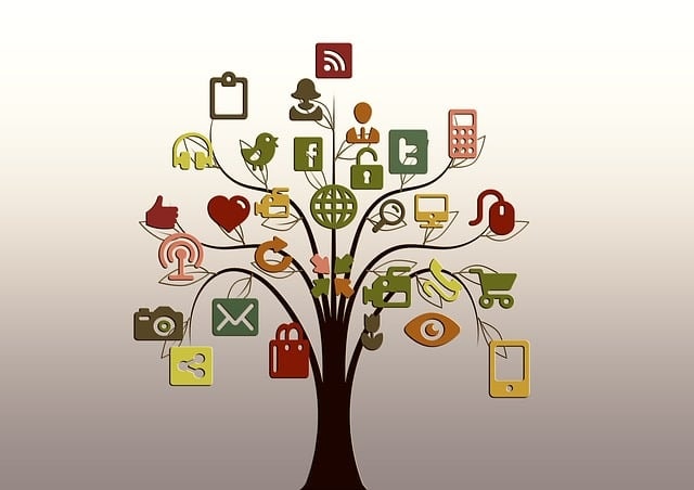 tree, structure, nature, networks, internet, network, social, social network, tiktok, logo, facebook, google, social networking, networking, social media, icon, website, presentation, multimedia