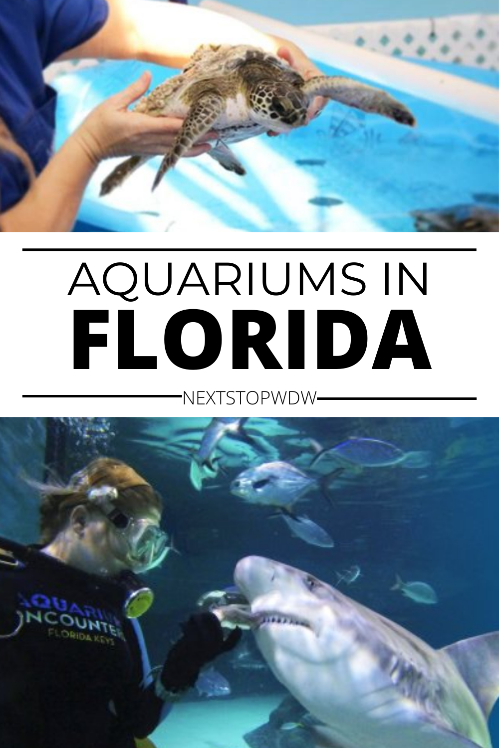 Aquariums in Florida Pin