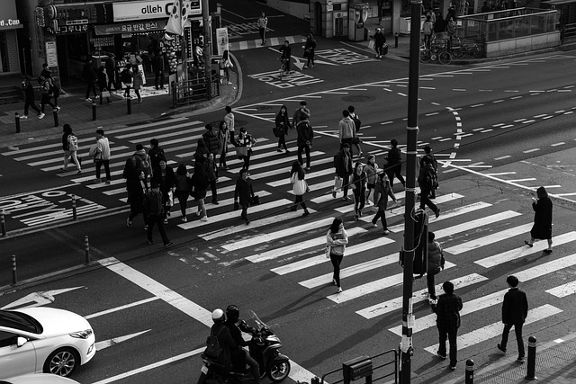 traffic light, crosswalk, people