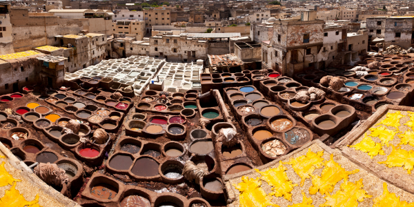 Dar dbagh à Fez, l'une des visites incontournables