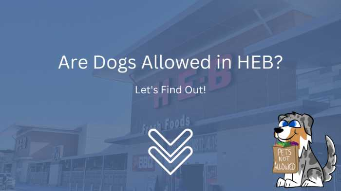 Image Text: "Are Dogs Allowed in HEB?"