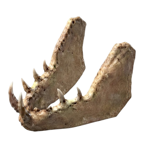 vilebone visage valheim
