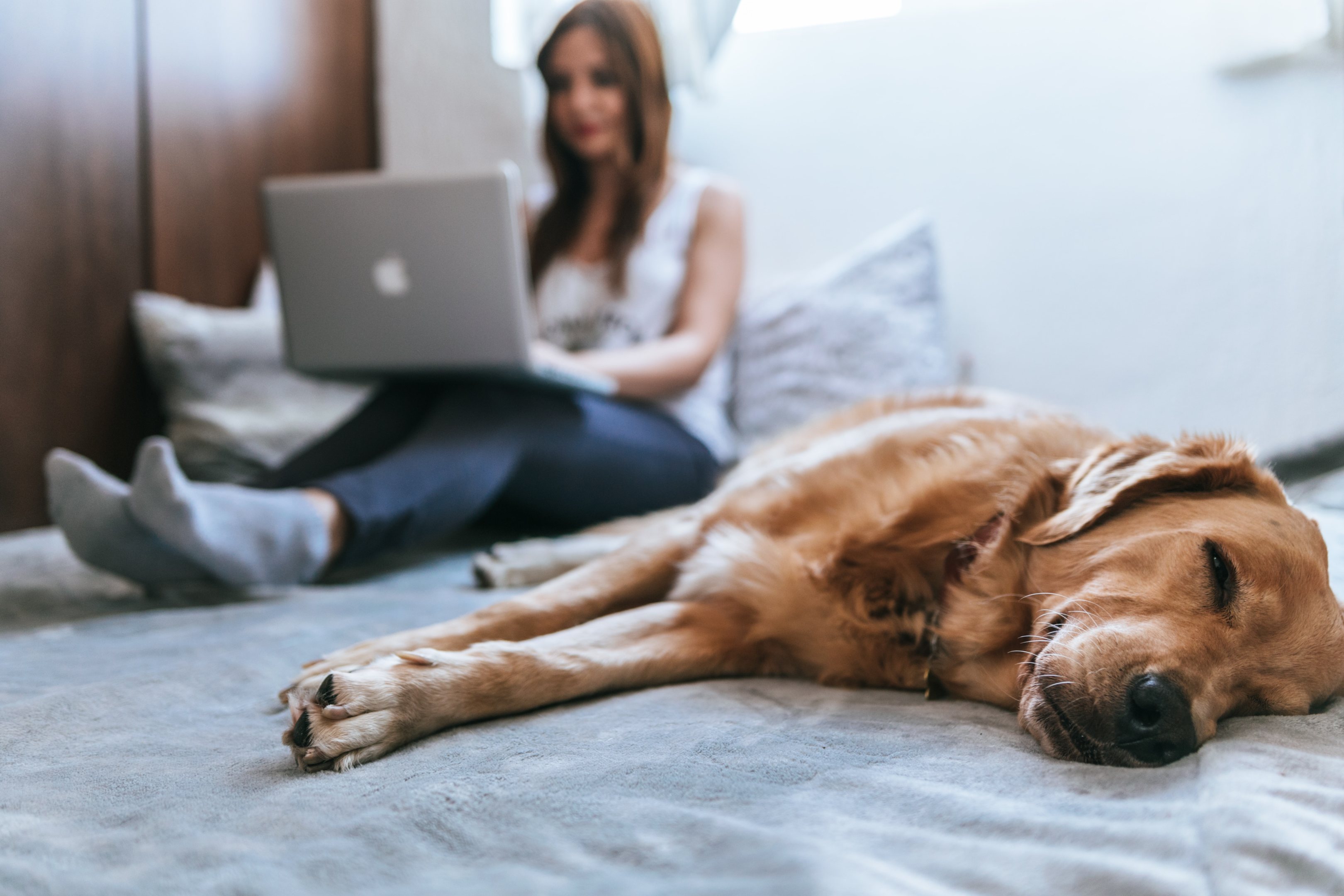 First time buyers, woman and dog, enjoying safe new build home