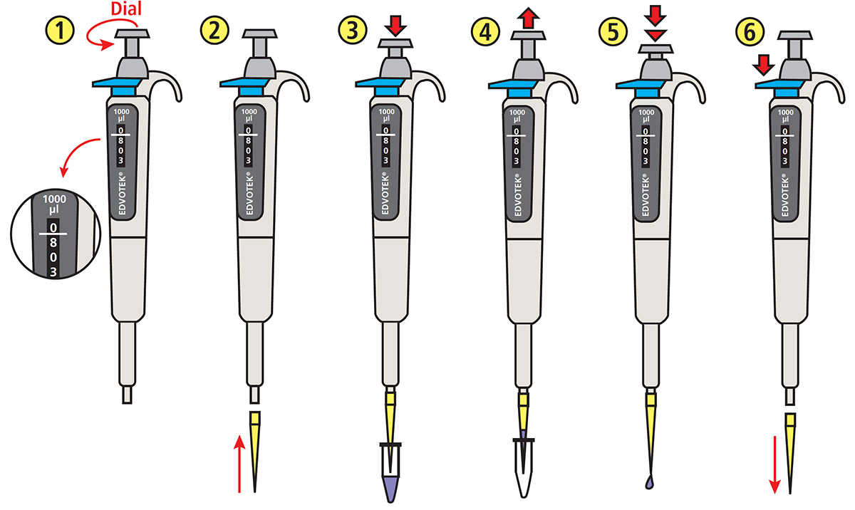 Master How to Use Micropipette: Guide for Lab Measurements