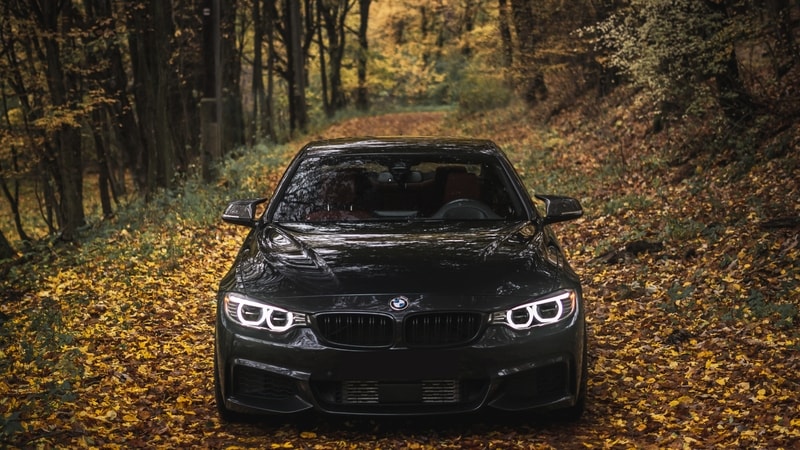 Custom branded LED lighting in car
